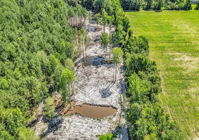 Homes for sale in Loris, SC | Lot 2 Coats Rd, Loris, SC 29569 | MLS# 2518535