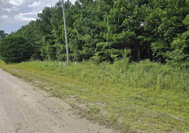 Photo 2 of Land for sale at Tbd 9 & 10 Powell Ln, Loris, SC 29569 | MLS# 2519247 | Listing updated on 2026-08-25