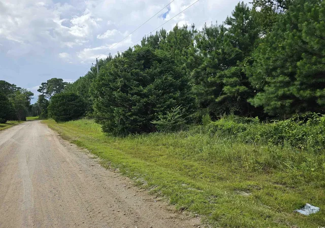 Photo 3 of Land for sale at Tbd 9 & 10 Powell Ln, Loris, SC 29569 | MLS# 2519247 | Listing updated on 2026-08-25