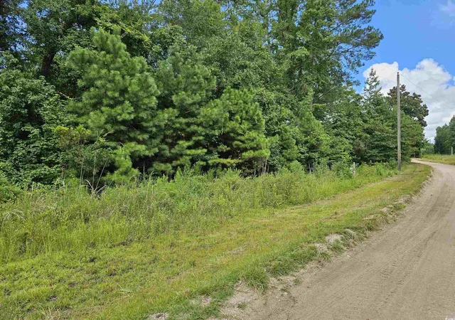 Photo 4 of Land for sale at Tbd 9 & 10 Powell Ln, Loris, SC 29569 | MLS# 2519247 | Listing updated on 2026-08-25