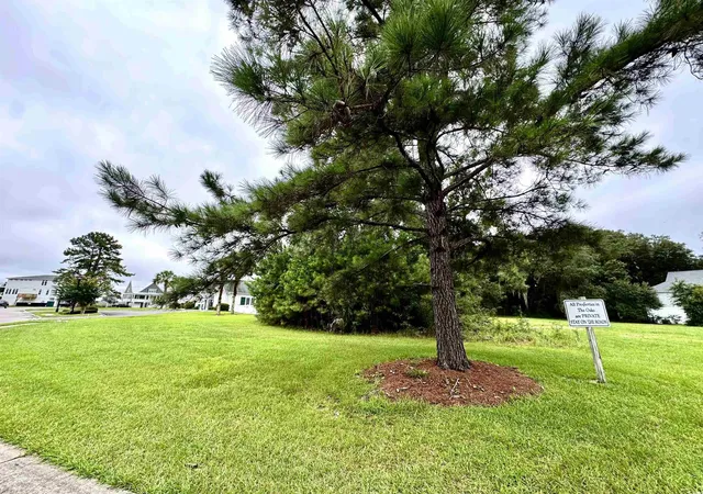Homes for sale in Georgetown, SC | Lot 45 Oak Bay Dr, Georgetown, SC 29440 | MLS# 2519252