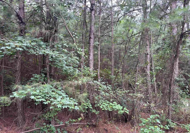 1st image of Lot 5 D Mcgregor St, Lake City, SC 29560 | MLS# 2519369