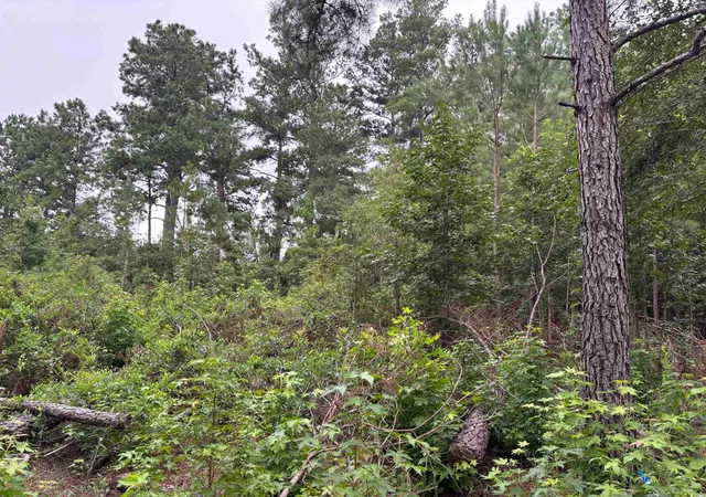 1st image of Lot 10 D Mcgregor St, Lake City, SC 29560 | MLS# 2519371