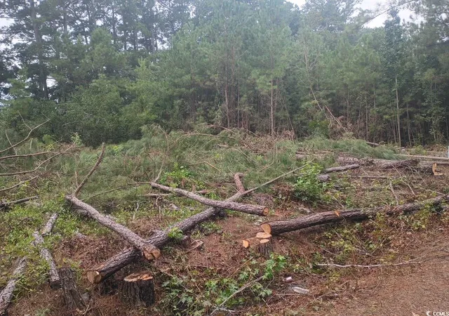2nd image of Lot 10 D Mcgregor St, Lake City, SC 29560 | MLS# 2519371
