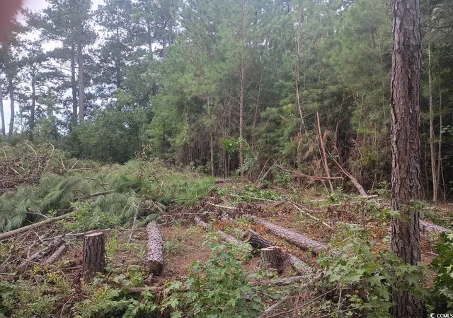 3rd image of Lot 10-D Mcgregor St, Lake City, SC 29560 | MLS# 2519371