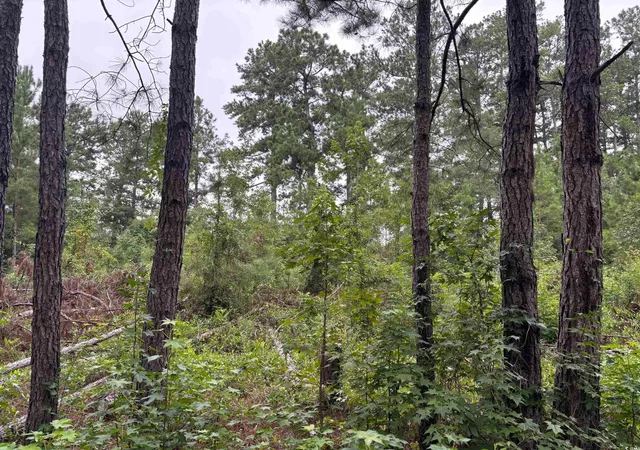 1st image of Lot 11 D Mcgregor St, Lake City, SC 29560 | MLS# 2519372