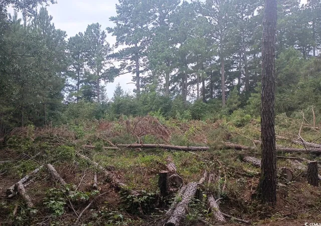 2nd image of Lot 11 D Mcgregor St, Lake City, SC 29560 | MLS# 2519372
