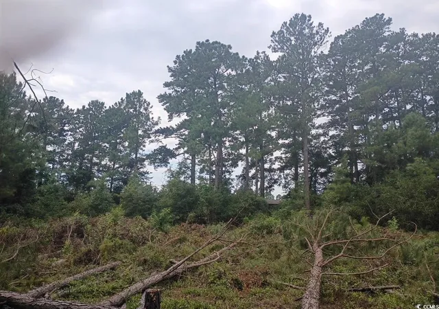 3rd image of Lot 11-D Mcgregor St, Lake City, SC 29560 | MLS# 2519372