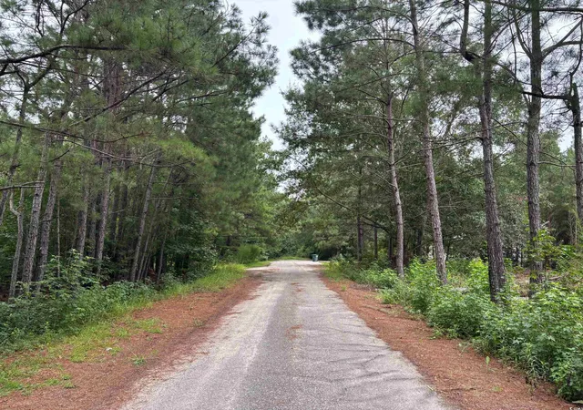 7th image of Lot 11 D Mcgregor St, Lake City, SC 29560 | MLS# 2519372