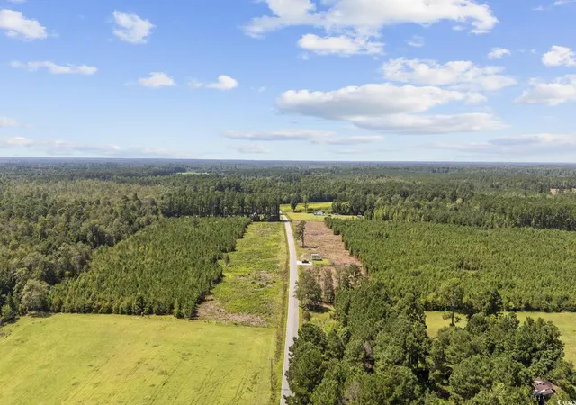 Homes for sale in Nichols, SC | Multiple Lots Black Creek Rd, Nichols, SC 29581 | MLS# 2519441