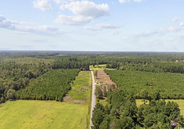 Homes for sale in Nichols, SC | Multiple Lots Black Creek Rd, Nichols, SC 29581 | MLS# 2519441