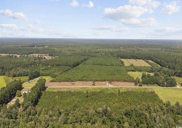 Homes for sale in Nichols, SC | Multiple Lots Black Creek Rd, Nichols, SC 29581 | MLS# 2519441