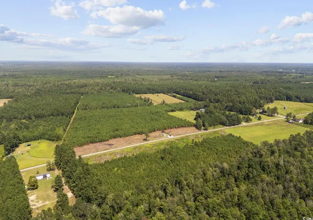 Homes for sale in Nichols, SC | Multiple Lots Black Creek Rd, Nichols, SC 29581 | MLS# 2519441