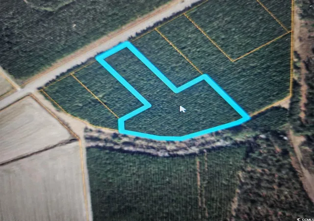 Photo 1 of Land for sale at Tbd Highway 45, Loris, SC 29569 | MLS# 2520049 | Listing updated on 2026-08-26