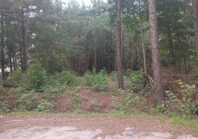 1st image of Lot 12 D Mcgregor St, Lake City, SC 29560 | MLS# 2520065