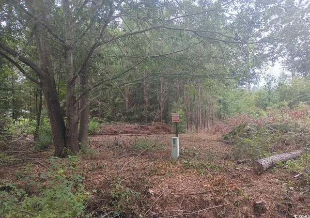 2nd image of Lot 12 D Mcgregor St, Lake City, SC 29560 | MLS# 2520065