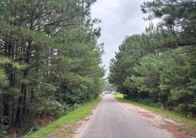 image of Lot 12 D Mcgregor St, Lake City, SC 29560 | MLS# 2520065