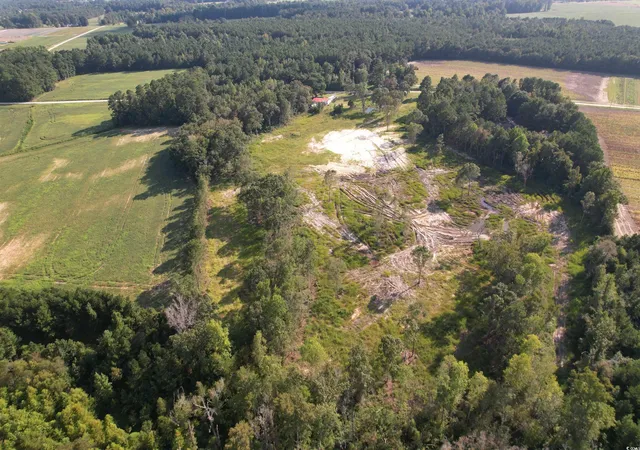 Photo 1 of Land for sale at Tbd Grainloyd Rd, Galivants Ferry, SC 29544 | MLS# 2520218 | Listing updated on 2026-04-02