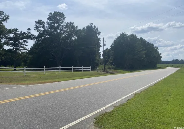 Homes for sale in Green Sea, SC | Tbd Long Branch Swamp Rd, Green Sea, SC 29545 | MLS# 2520291