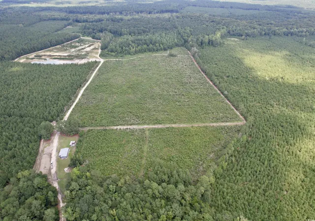 1st image of 9783 Acres Tbd Sugar Hill Fox Rd, Pamplico, SC 29583 | MLS# 2520492