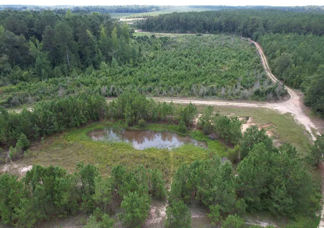 2nd image of 9783 Acres Tbd Sugar Hill Fox Rd, Pamplico, SC 29583 | MLS# 2520492