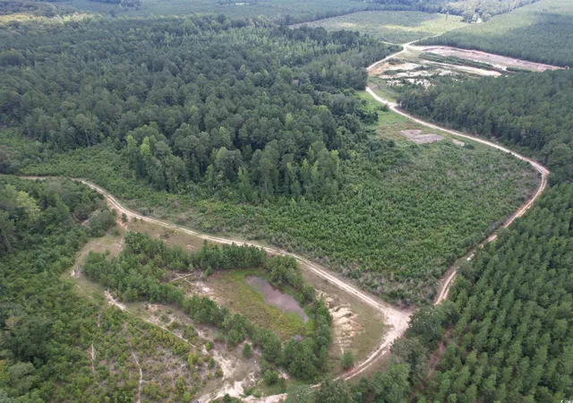 3rd image of 9783 Acres-Tbd Sugar Hill Fox Rd, Pamplico, SC 29583 | MLS# 2520492