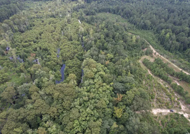 4th image of 9783 Acres-Tbd Sugar Hill Fox Rd, Pamplico, SC 29583 | MLS# 2520492