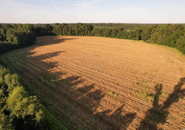 2nd image of 6177 Ac Marion Church Rd, Salters, SC 29590 | MLS# 2520566