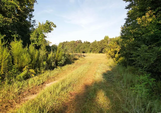 3rd image of 6177 Ac Marion Church Rd, Salters, SC 29590 | MLS# 2520566