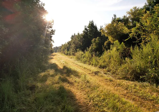 4th image of 6177 Ac Marion Church Rd, Salters, SC 29590 | MLS# 2520566