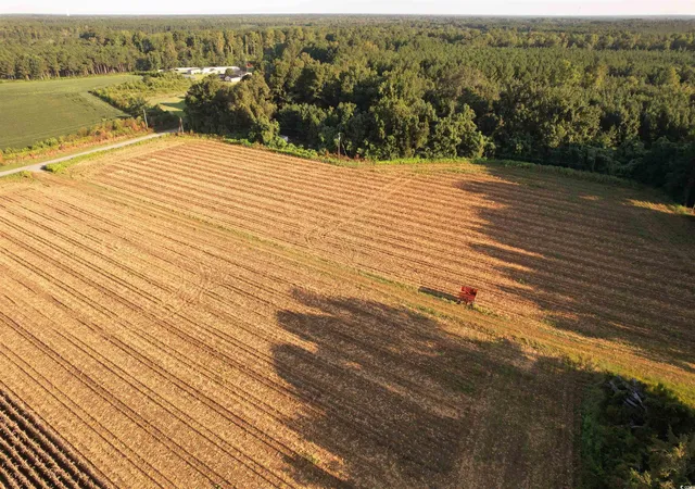 5th image of 6177 Ac Marion Church Rd, Salters, SC 29590 | MLS# 2520566