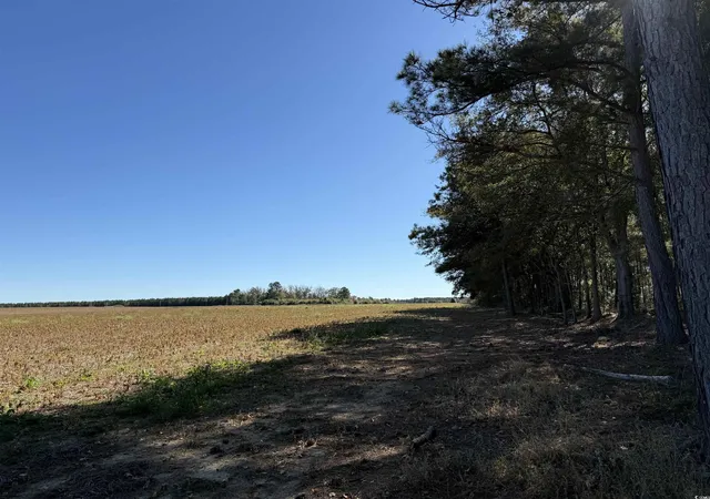 Homes for sale in Lake City, SC | 64ac Vox Hwy, Lake City, SC 29560 | MLS# 2520869