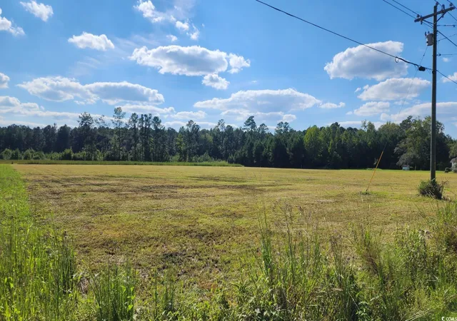 Homes for sale in Hemingway, SC | 945 Hemingway Hwy, Hemingway, SC 29554 | MLS# 2520956