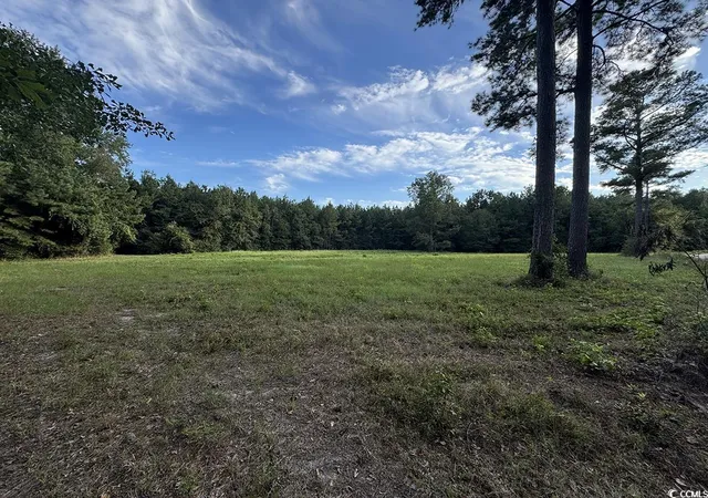 Photo 1 of Land for sale at Tbd Dead Ridge Rd, Nichols, SC 29581 | MLS# 2521326 | Listing updated on 2026-07-29