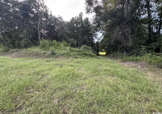 Photo 3 of Land for sale at Tbd Dead Ridge Rd, Nichols, SC 29581 | MLS# 2521326 | Listing updated on 2026-07-29