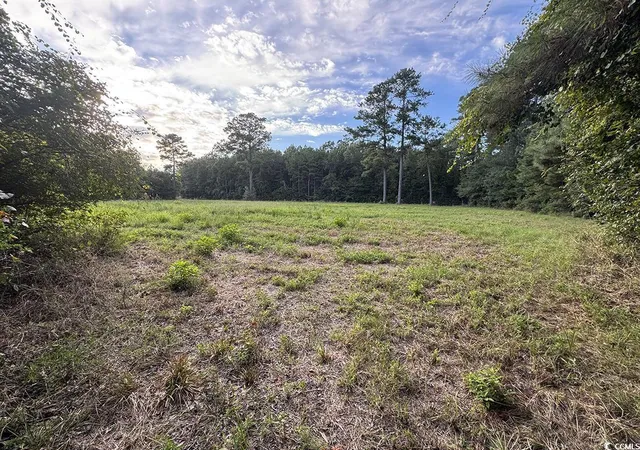 Photo 3 of Land for sale at Tbd Dead Ridge Rd, Nichols, SC 29581 | MLS# 2521326 | Listing updated on 2026-07-29