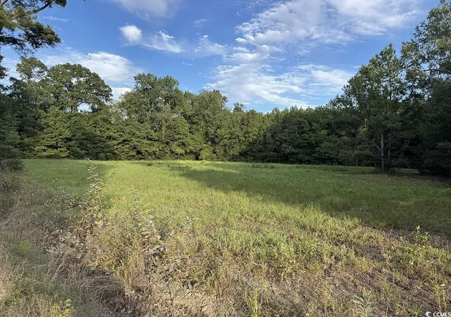 Photo 4 of Land for sale at Tbd Dead Ridge Rd, Nichols, SC 29581 | MLS# 2521326 | Listing updated on 2026-07-29