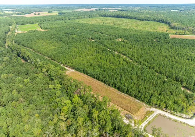 3rd image of 0 No Where Rd, Clarendon, NC 28432 | MLS# 2521939