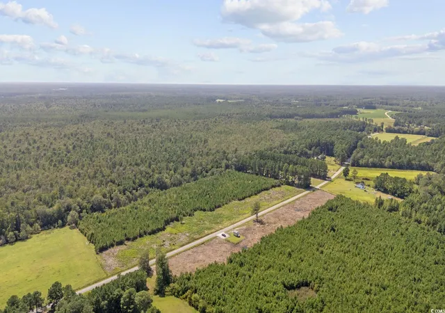 Homes for sale in Nichols, SC | Lot 3 Black Creek Rd, Nichols, SC 29581 | MLS# 2522951