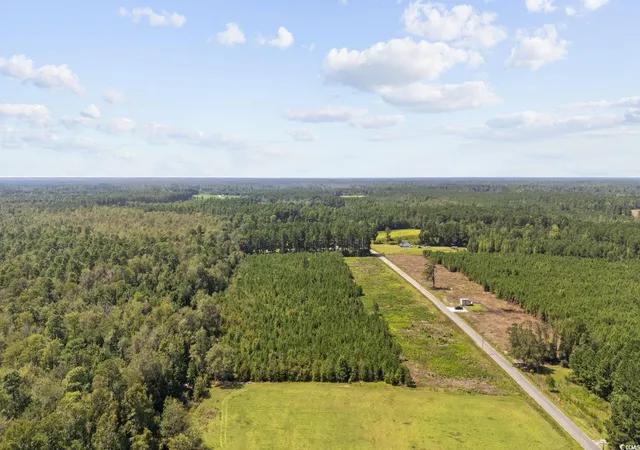 Homes for sale in Nichols, SC | Lot 3 Black Creek Rd, Nichols, SC 29581 | MLS# 2522951