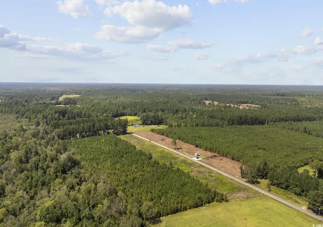 Homes for sale in Nichols, SC | Lot 3 Black Creek Rd, Nichols, SC 29581 | MLS# 2522951