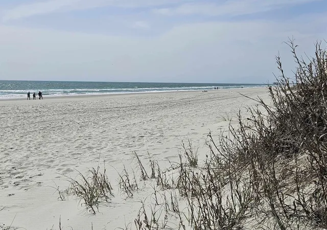 39th image of 355 Meadowlark Dr, Myrtle Beach, SC 29575 | MLS# 2523496