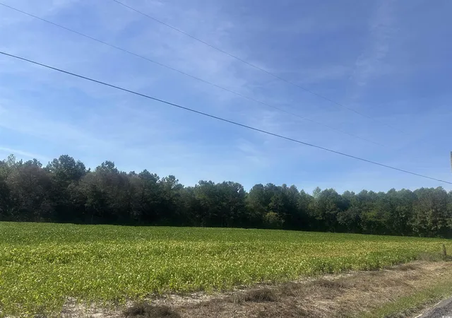 Homes for sale in Loris, SC | Tbd Tansy Rd, Loris, SC 29569 | MLS# 2523522