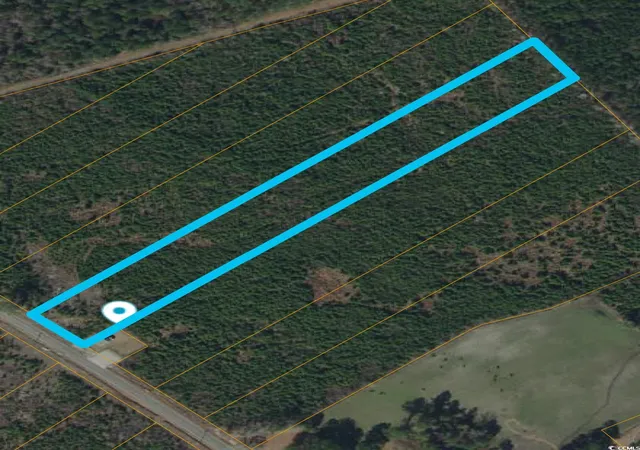 Homes for sale in Nichols, SC | Lot 5 Black Creek Dr, Nichols, SC 29581 | MLS# 2524199