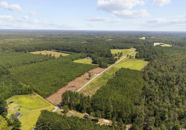 Homes for sale in Nichols, SC | Lot 5 Black Creek Dr, Nichols, SC 29581 | MLS# 2524199
