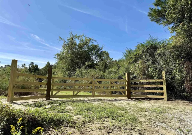 14th image of 1481 Acres Tbd S Deerfield Rd, Johnsonville, SC 29555 | MLS# 2524288