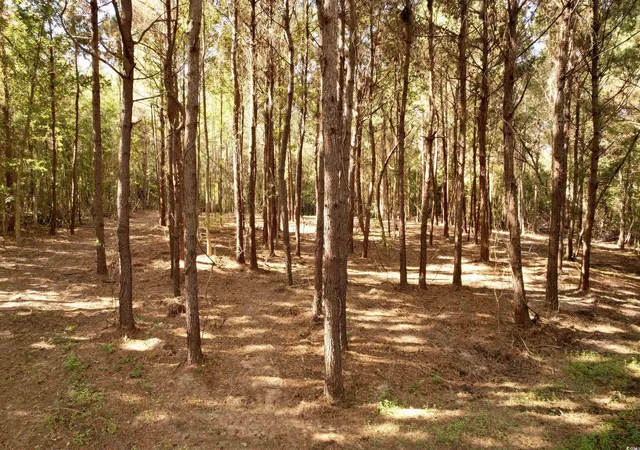 2nd image of 1481 Acres Tbd S Deerfield Rd, Johnsonville, SC 29555 | MLS# 2524288