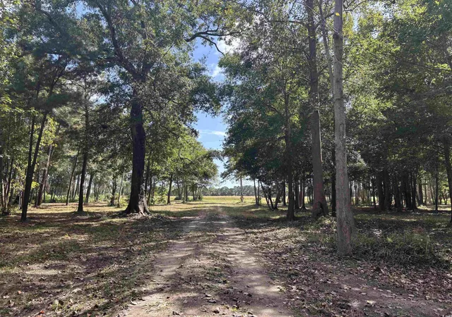 Photo 1 of Land for sale at Tbd Bourne Trl, North Myrtle Beach, SC 29582 | MLS# 2524531 | Listing updated on 2025-10-08
