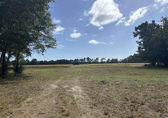 Photo 3 of Land for sale at Tbd Bourne Trl, North Myrtle Beach, SC 29582 | MLS# 2524531 | Listing updated on 2025-10-08