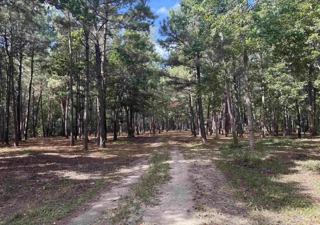 Photo 3 of Land for sale at Tbd Bourne Trl, North Myrtle Beach, SC 29582 | MLS# 2524531 | Listing updated on 2025-10-08